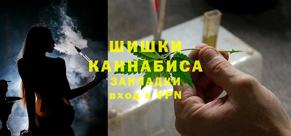 ПСИЛОЦИБИНОВЫЕ ГРИБЫ Арсеньев