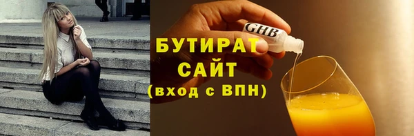 индика Аркадак