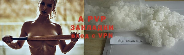 индика Аркадак