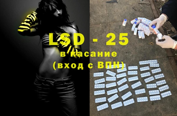 ПСИЛОЦИБИНОВЫЕ ГРИБЫ Арсеньев
