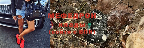 индика Аркадак