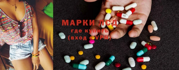 индика Аркадак