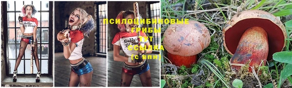 индика Аркадак
