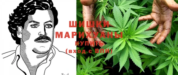 ПСИЛОЦИБИНОВЫЕ ГРИБЫ Арсеньев