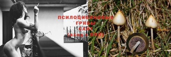 ПСИЛОЦИБИНОВЫЕ ГРИБЫ Арсеньев