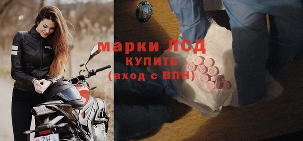 ПСИЛОЦИБИНОВЫЕ ГРИБЫ Арсеньев