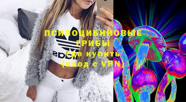 индика Аркадак
