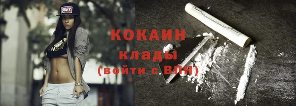 ПСИЛОЦИБИНОВЫЕ ГРИБЫ Арсеньев