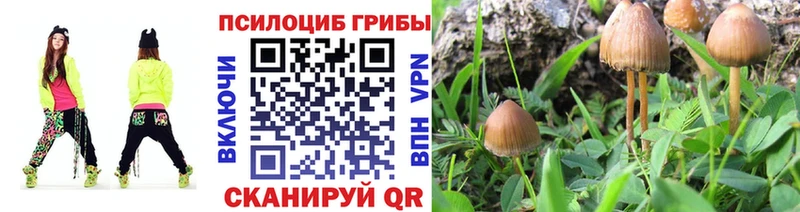 Галлюциногенные грибы Cubensis Белая Холуница