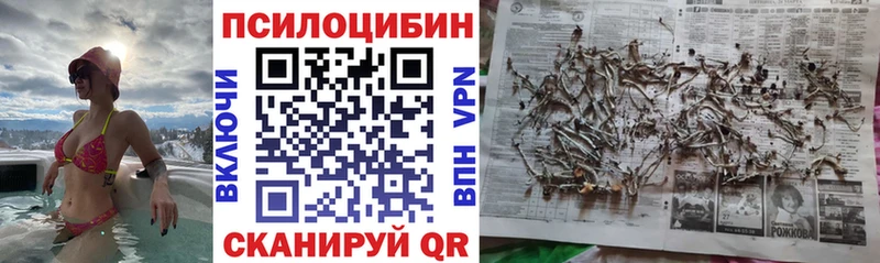 Галлюциногенные грибы мухоморы kraken сайт Белая Холуница дарнет шоп